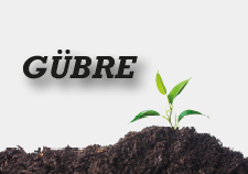 Gubre