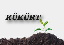 Kukurt