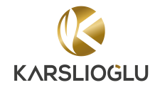 IMG-LOGO